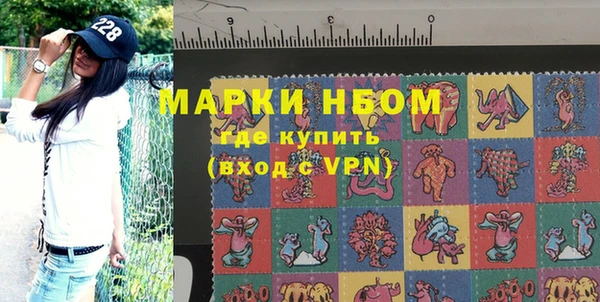 гашик Алексин