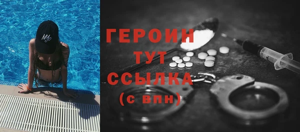 гашик Алексин
