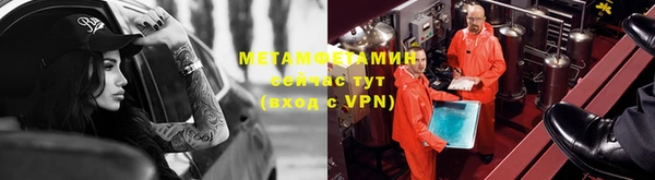 прущие грибы Приозерск