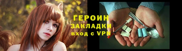 прущие грибы Приозерск