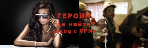 гашик Алексин
