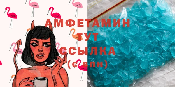 прущие грибы Приозерск