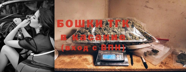 гашик Алексин