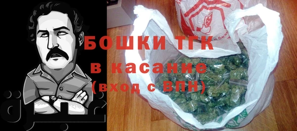 гашик Алексин